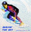 Surfin' the net