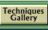 Techniques Gallery