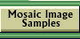 Mosaic Image Samples