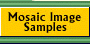 Mosaic Image Samples
